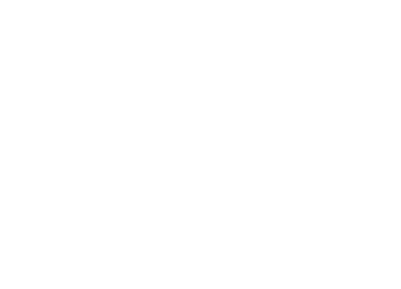 Winner Spotlight