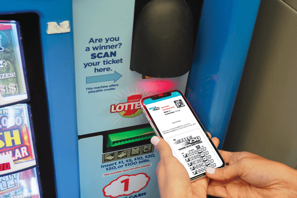 Diversity Enterprise Partnerships